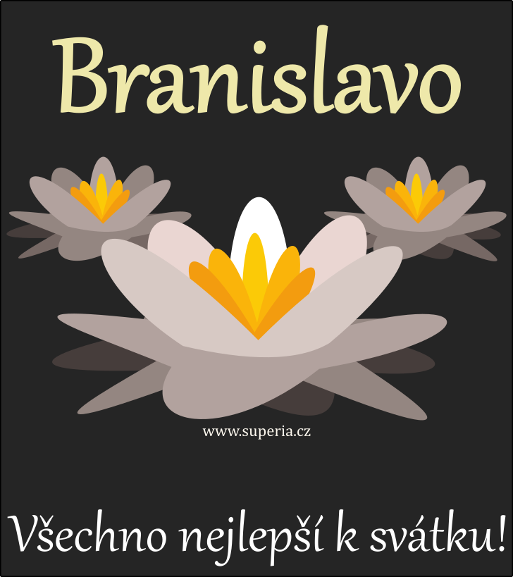 Branislava (3. z), obrzkov pn, pnka, pnka k svtku, jmeninm ke staen na email, mms. Branislvinka, Branislvka, Branislvenka, Braka, Bra, Brank, Branka, Branika