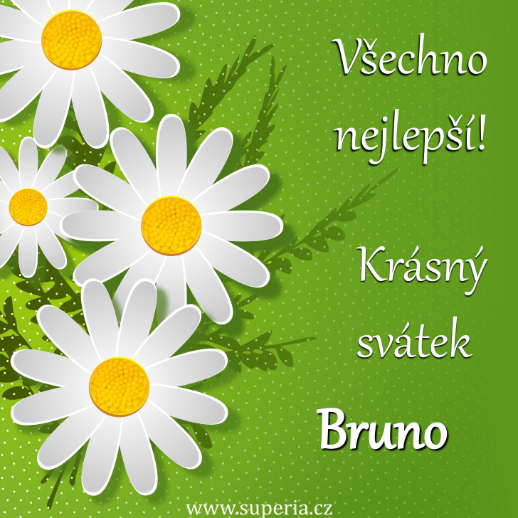 Bruno (11. erven), blahopn, gratulace, gratulace k svtku, jmeninm, obrzek s textem. Brunko, Brunek