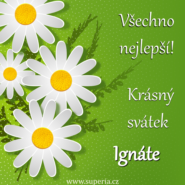 Ignt (31. ervenec), blahopn, pn, pnka k svtku, jmeninm, obrzek s textem. Igy, Igncek, Igouek, Igncek, Igntek, Ignek, Igntouek, Ignteek