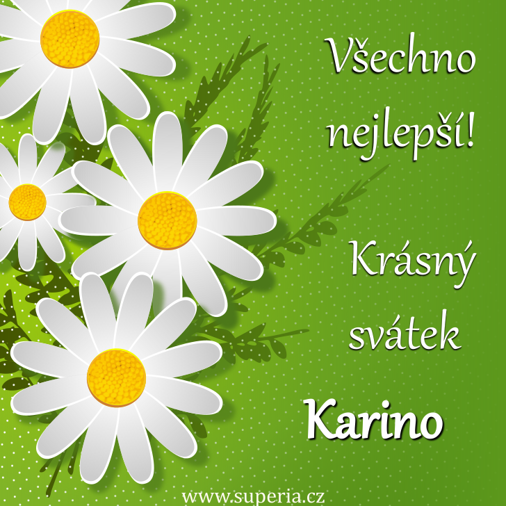 Karin (2. leden), blahopn, gratulace, pn k svtku, jmeninm, obrzek s textem. Karinka, Karuka, Karka, Kara, Karu, Rina