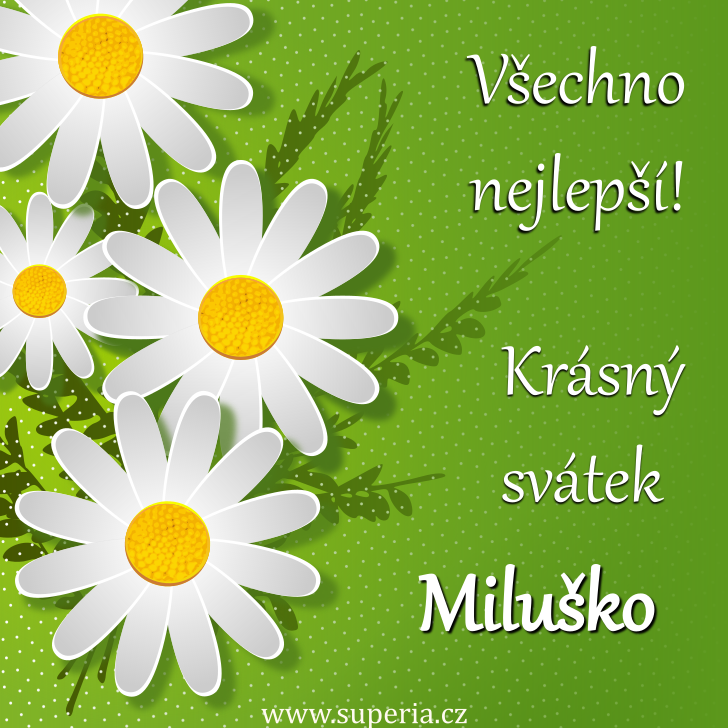 Miluška (3. srpen), obrázkové přáníčko, přání, přáníčka k svátku, jmeninám ke stažení pro Milda, Miluna, Milča, Miluš, Míla, Milka, Milunka Miluška (3. srpen), obrázkové přáníčko, přání, přáníčka k svátku, jmeninám ke stažení pro Milda, Miluna, Milča, Miluš, Míla, Milka, Milunka