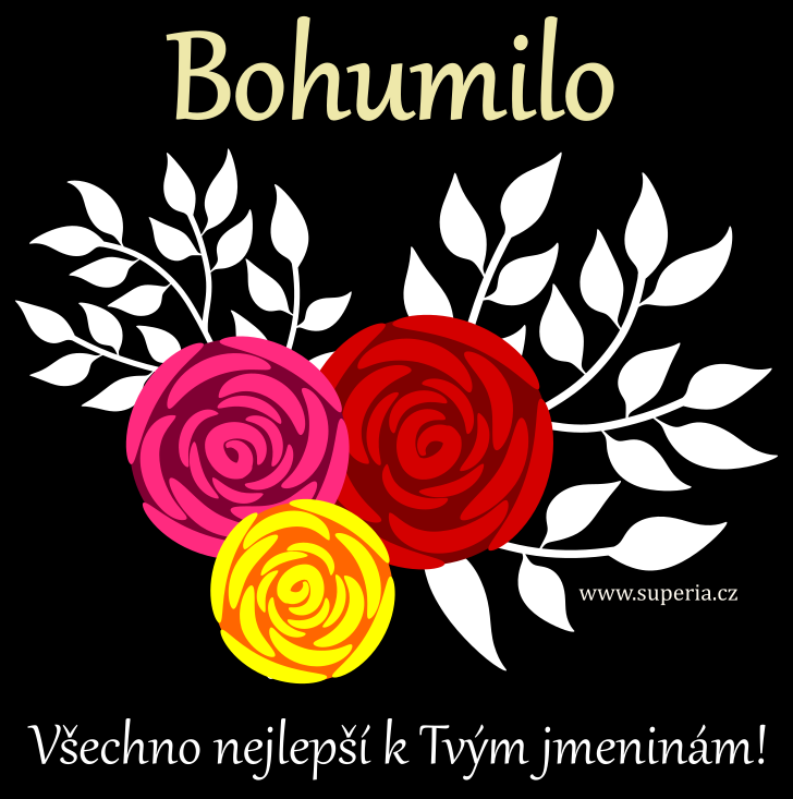 Bohumila (28. prosinec), blahopn, pn, pn k svtku, jmeninm, obrzek s textem. Boba, Bohunka, Boha, Bobby, Boa, Mla, Bohuka, Boka, Bohuna, Mila, Bohumilka, Bobina