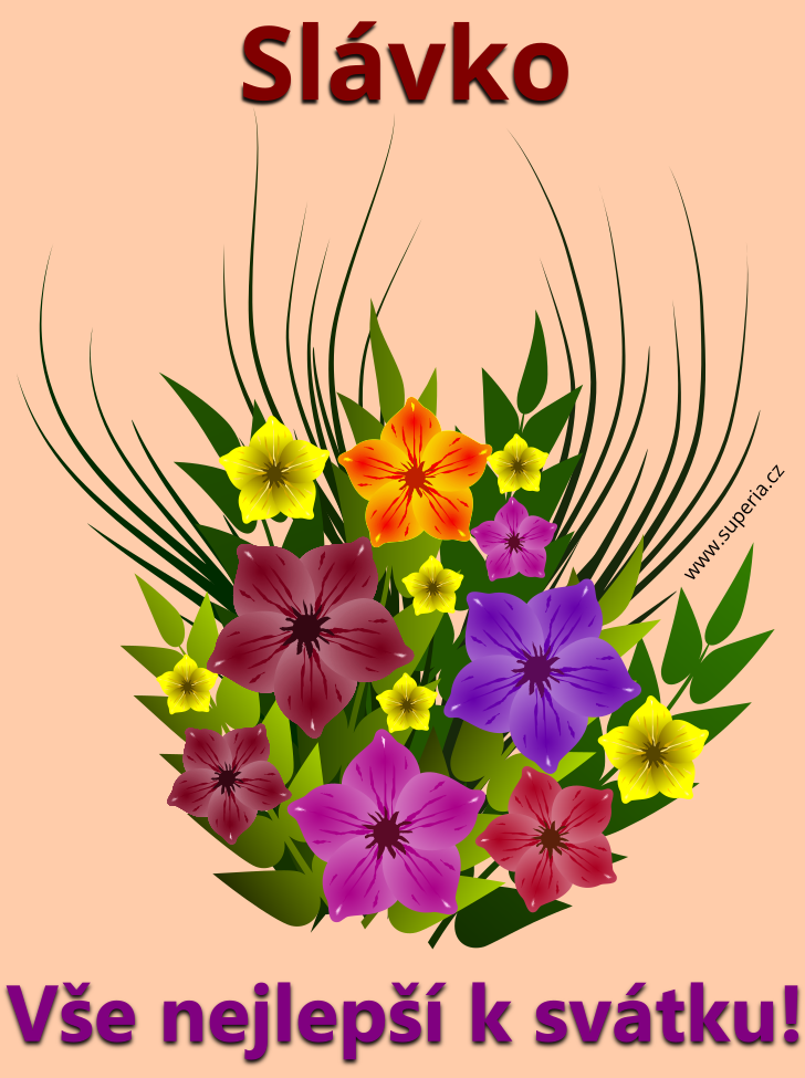 Bronislava (3. z���), blahop��n�, p��n��ka, p��n� k sv�tku, jmenin�m, obr�zek s textem. Slavu�ka, Bronu�ka, Sl�vinka, Broninka, Broni�ka, Bro�ka, Bro�a, Bronina, Bronu�