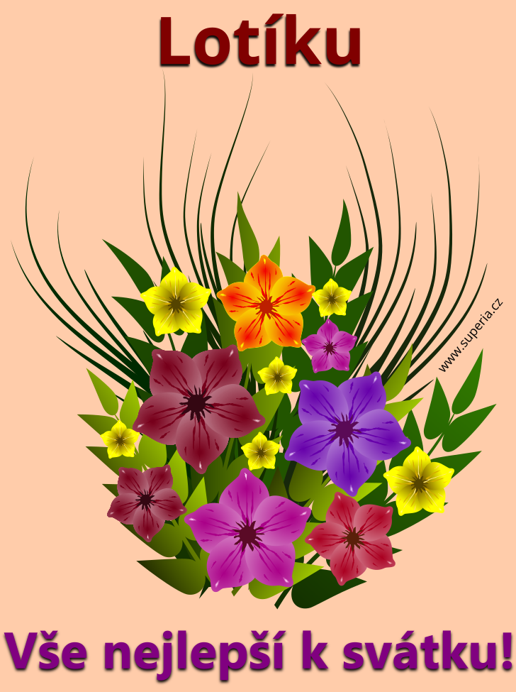 Lota (27. ��jen), p��n�, blahop��n�, blahop��n� k sv�tku, jmenin�m ke sta�en� na email, mms. Lo, Lotine�ka, Lotka, Lotinka