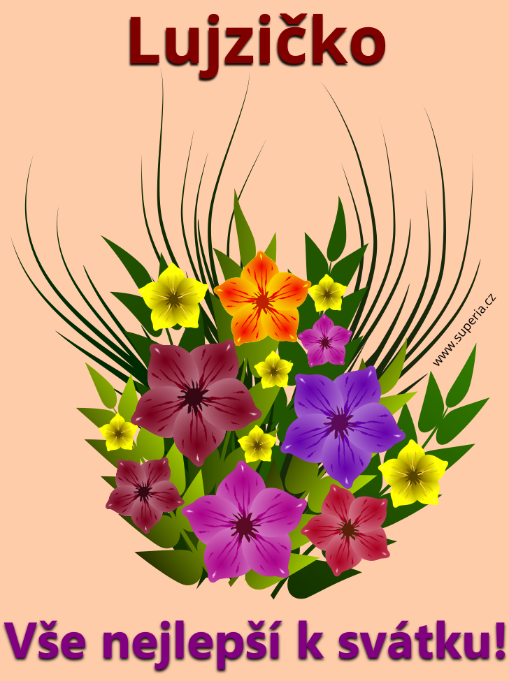 Lujza (19. srpen), p��n�, p��n��ka, p��n��ka k sv�tku, jmenin�m ke sta�en� na email, mms. Lujz��ek, Lujzinka, Lujz�nek, Lujzka, Lujzek, Lujz�k, Lujzine�ka, Lujz�ne�ka