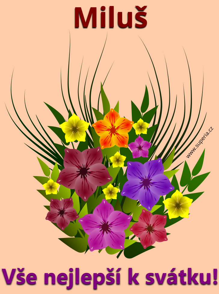 Milu�ka (3. srpen), blahop��n�, blahop��n�, gratulace k sv�tku, jmenin�m, obr�zek s textem. M�la, Milu�, Milda, Mil�a, Miluna, Milka, Milunka