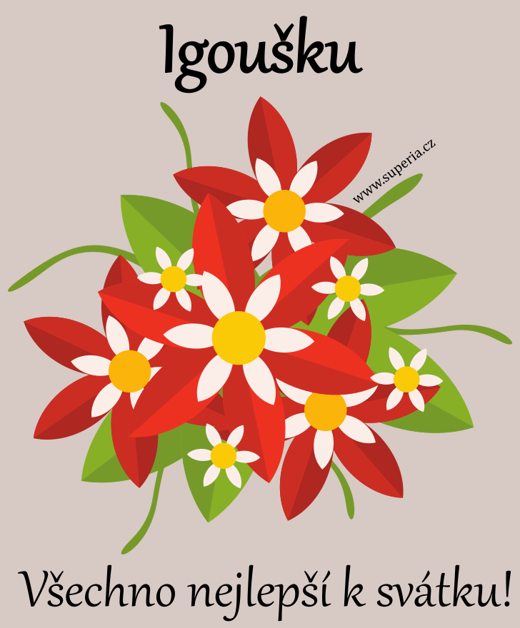 Ign�t (31. �ervenec), blahop��n�, gratulace, p��n��ka k sv�tku, jmenin�m, obr�zek s textem. Ign�cek, Ign�tou�ek, Ign�tek, Igy, Ig�nek, Ign�c��ek, Ign�te�ek, Igou�ek