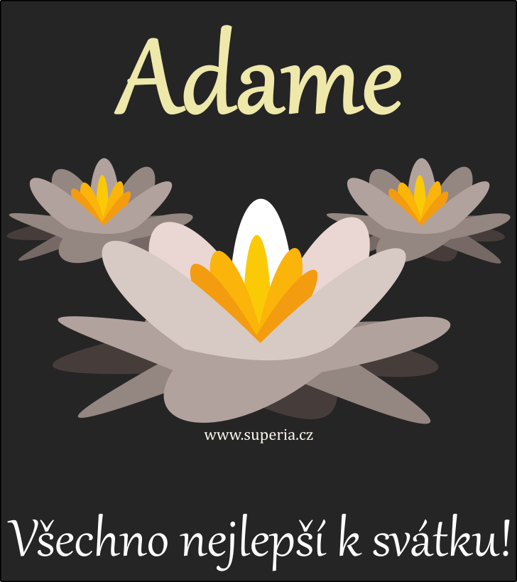 Adam (24. prosinec), blahopřání, přáníčka, blahopřání k svátku, jmeninám, obrázek s textem. Áďa, Adínek, Adásek, Adýsek, Adouš, Aďásek, Áda, Adamík, Ady, Aďas, Adámek