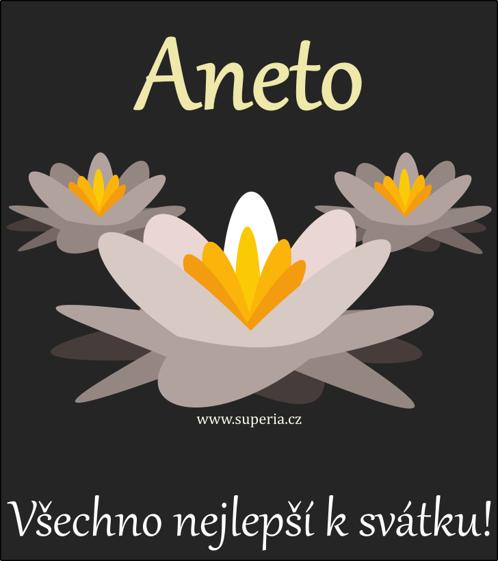 Aneta (17. kvten), obrzkov pnko, gratulace, pn k svtku, jmeninm ke staen pro Nett, Anuka, Aulka, Anynka, Ank, a, An, Anet, Anett, Anetka, Anetinka, Aule, Any, Ansek