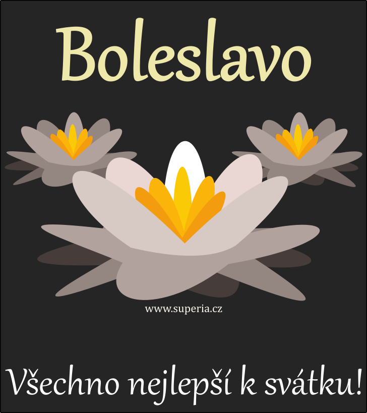 Boleslava (6. z), obrzkov pnko, pn, blahopn k svtku, jmeninm ke staen pro Bolenka, Boleslveka, Boleneka, Boleslvineka, Boleslvinka, Boleslvka