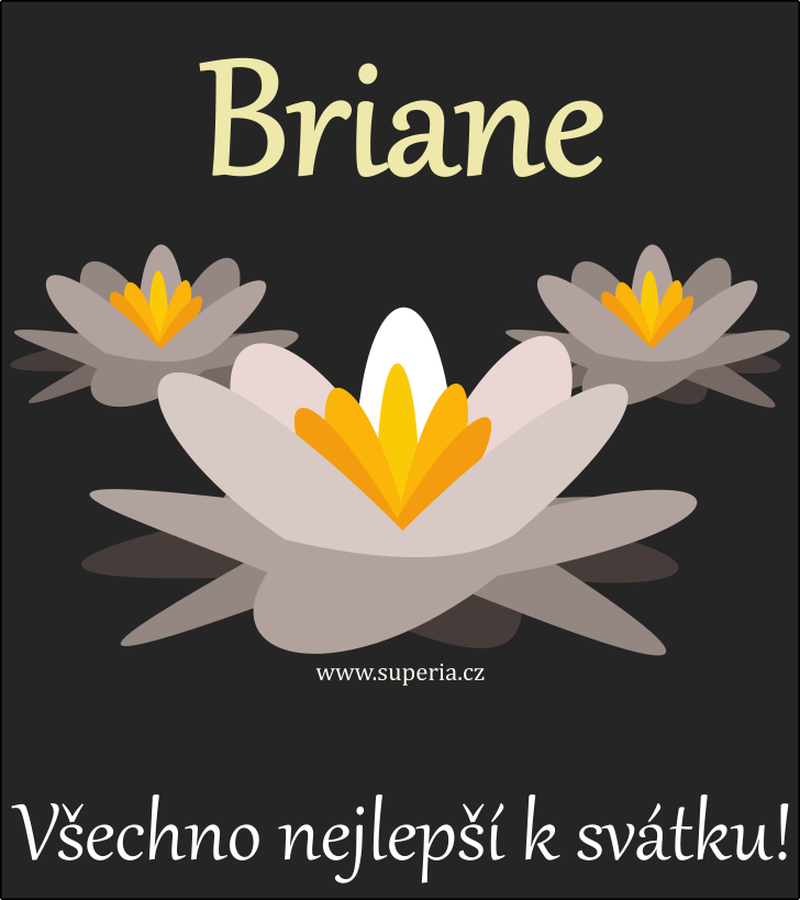 Brian - 29. z 2024, texty sms blahopn k jmeninm, pnka ke svtku texty sms