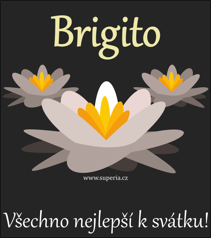 Brigita (21. jen), blahopn, gratulace, pn k svtku, jmeninm, obrzek s textem. Gituka, Brita, Rita, Gita, Brigitka, Briguka, Briga