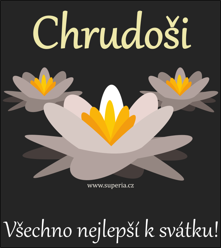 Chrudo (22. leden), pn, blahopn, gratulace k svtku, jmeninm ke staen na email, mms. Chrudneek, Chrudounek, Chrudnek, Chrudouek, Chrudy, Chrudoek