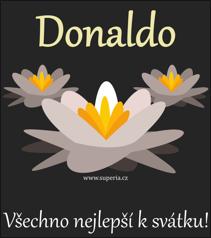 Donalda (7. ervenec), blahopn, pn, pnka k svtku, jmeninm, obrzek s textem. Donaldka, Donaldeka, Donaldouek, Dony, Donalduka, Donaldineka, Doninka, Donaldinka