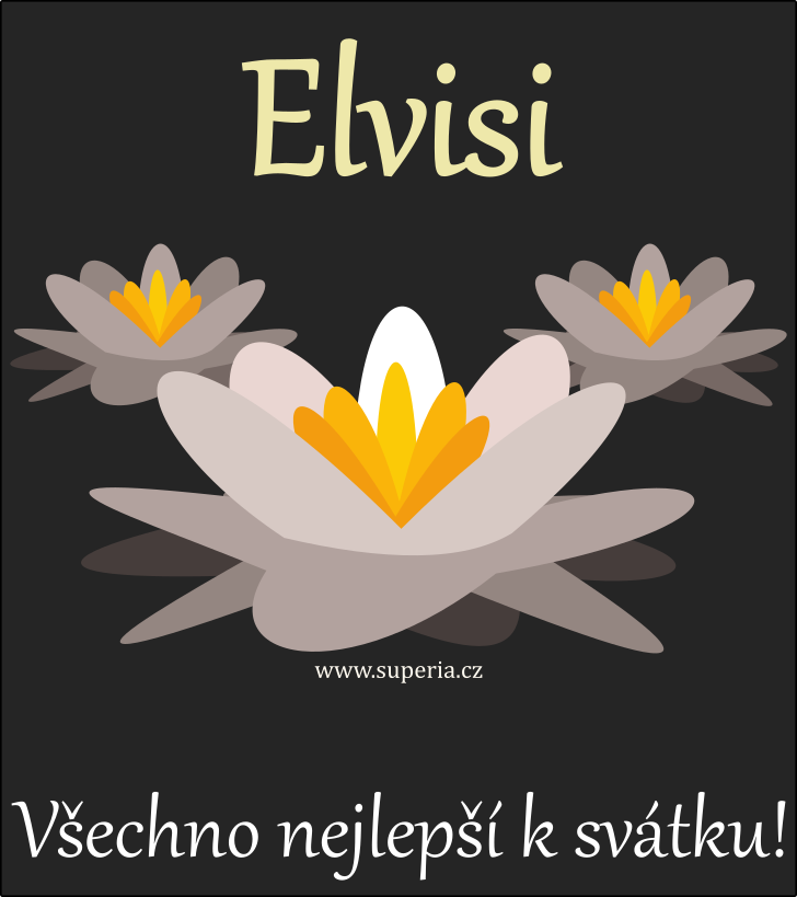 Elvis (21. ledna), obrzkov pn, pn, pnka k svtku, jmeninm ke staen na email, mms. Elek, Elvsek