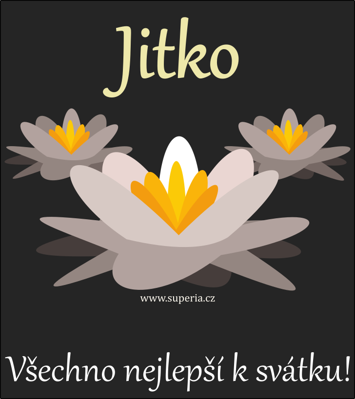 Jitka - pnka ke svtku texty sms