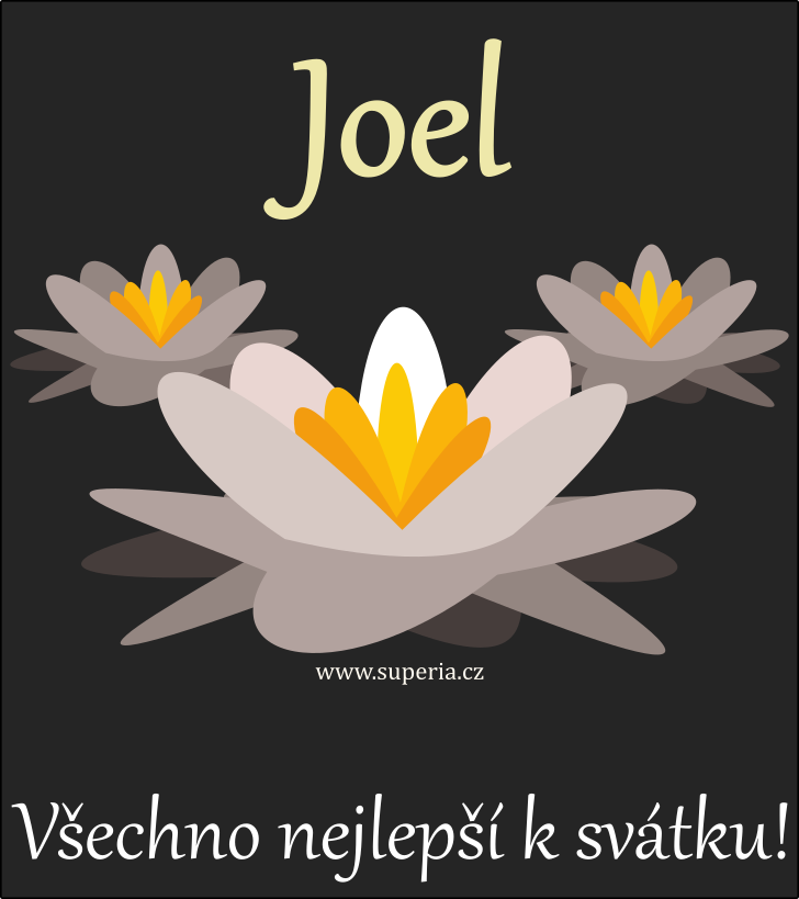 Joel - pnka ke svtku texty sms