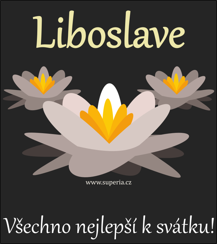 Liboslav - sms verovan pnka