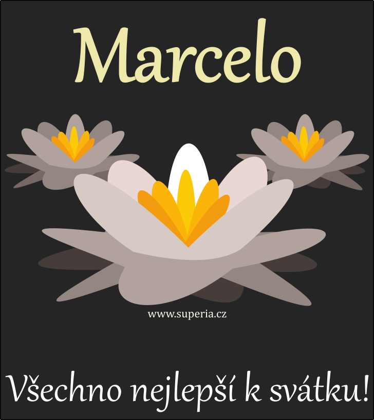 Marcela - 20. dubna 2024 - pn k svtku podle jmen, blahopn k jmeninm k zasln emailem