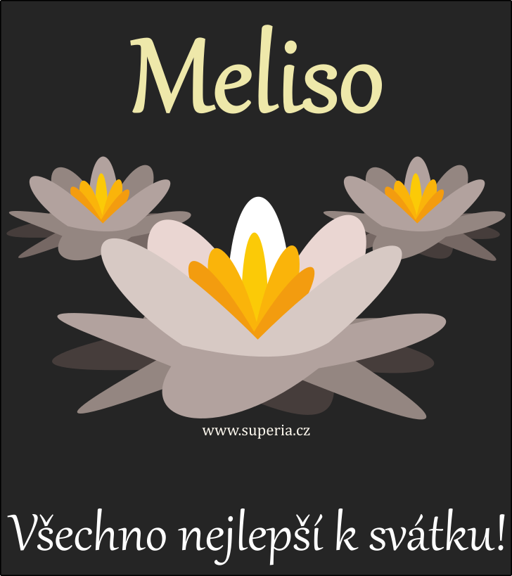 Melisa (10. bezen), blahopn, pn, blahopn k svtku, jmeninm, obrzek s textem. Melanka, Melua, Mel, Melana, Melina, Melinka, Melka, Meluka, Mela, Meliska