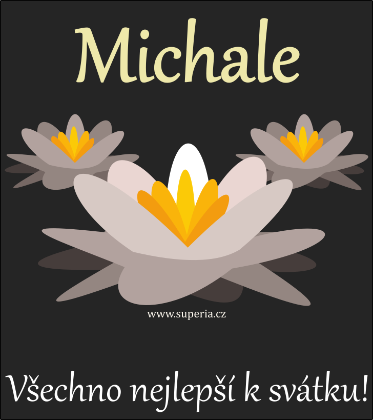 Michal - kamardce pn k svtku