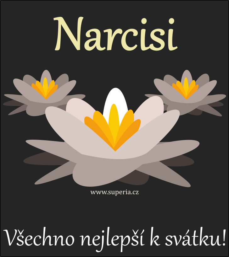 Narcis (24. jen), obrzkov pnko, pn, blahopn k svtku, jmeninm ke staen pro Narcneek, Narcouneek, Narck, Narcy, Narci, Narcounek, Narcnek