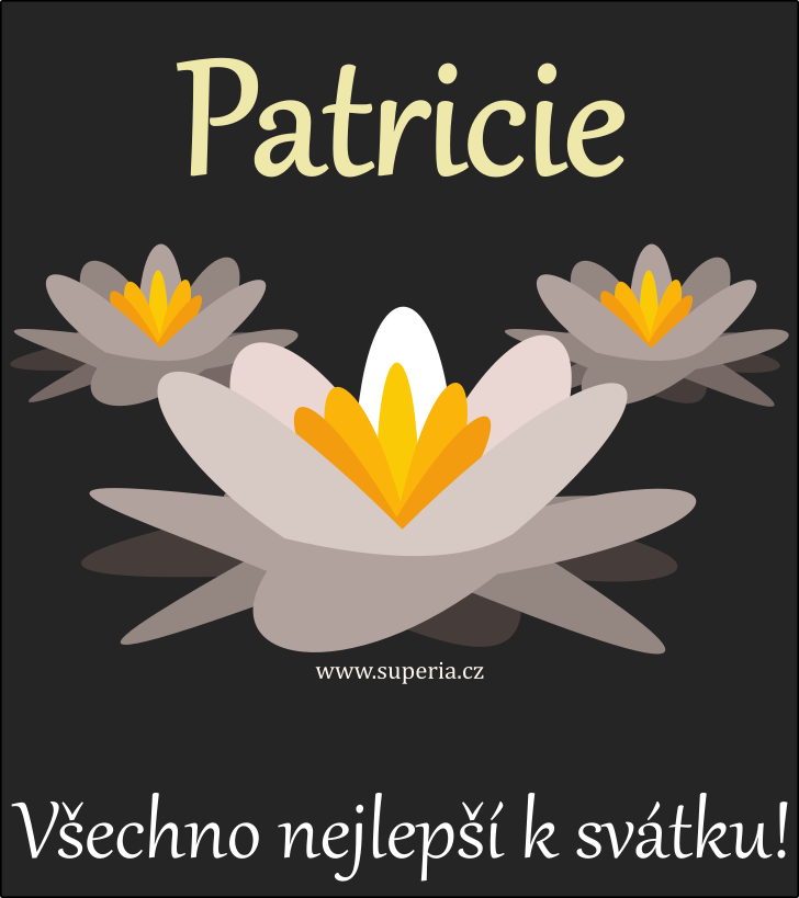 Patricie (2. ervenec), blahopn, pn, pn k svtku, jmeninm, obrzek s textem. Pat, Patrika, Paty, Patynka, Pa, Patinka