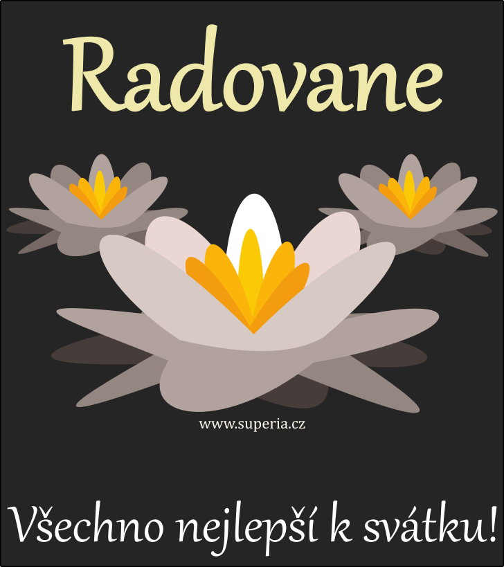 Radovan (14. leden), obrzkov pnko, pn, blahopn k svtku, jmeninm ke staen pro Radovnek, Radou, Rada, Ra, Radek, Radnek, Radouek