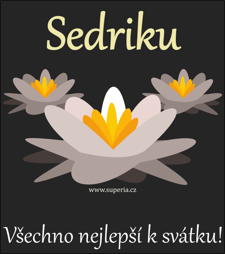 Sedrik (16. �ervence), obr�zkov� p��n�, p��n�, blahop��n� k sv�tku, jmenin�m ke sta�en� na email, mms. Sedrou�ek, Sedru�ek, Sed�nek, S��a, Sedr�ne�ek, Sedr�nek, Sedr��ek, Sedr�ne�ek, Sedri�ek