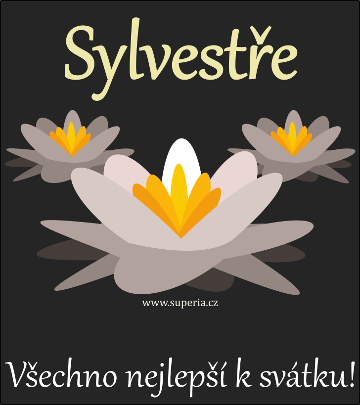 Sylvestr (31. prosinec), blahopn, pn, pnka k svtku, jmeninm, obrzek s textem. Sylvy, Sylvneek, Sylvestrneek, Sylvou, Sylvnek, Sylva, Sylvestrnek, Sylvouek, Sylvneek