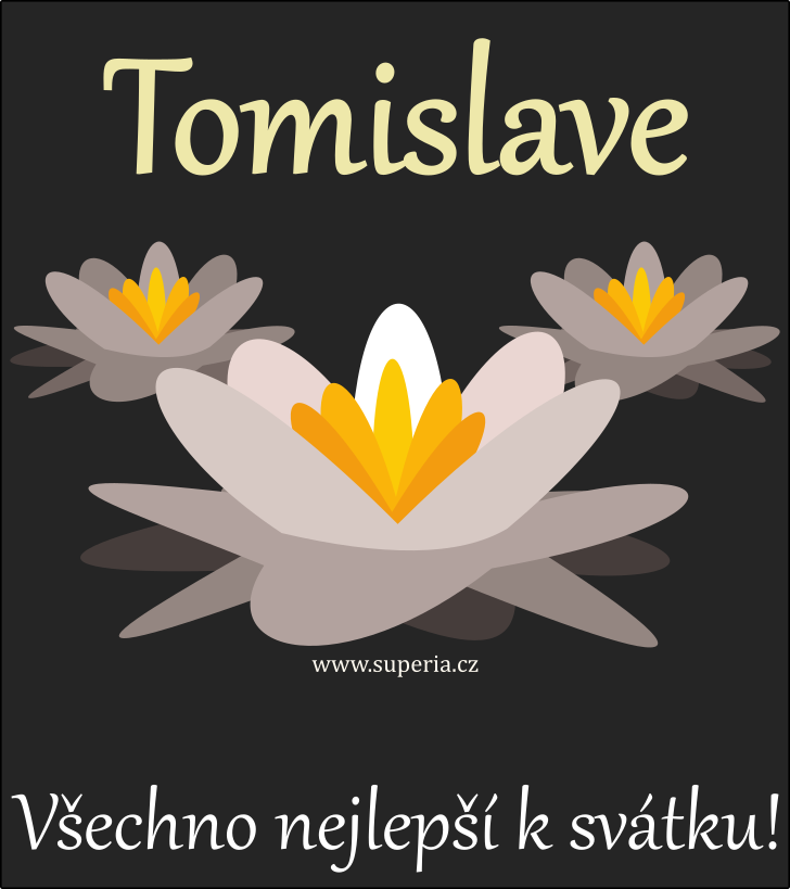 Tomislav (7. bezen), blahopn, pn, pn k svtku, jmeninm, obrzek s textem. Tom, Tomi, Slvek, Tomk, Tomislvek, Tomy, Tom