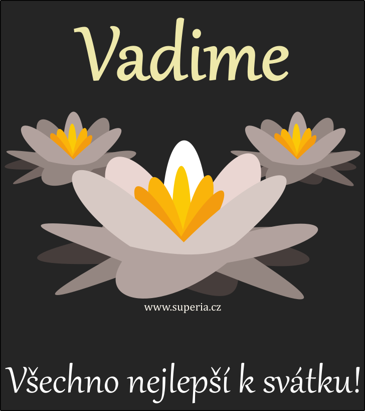 Vadim - verovan pnka k svtku podle jmen