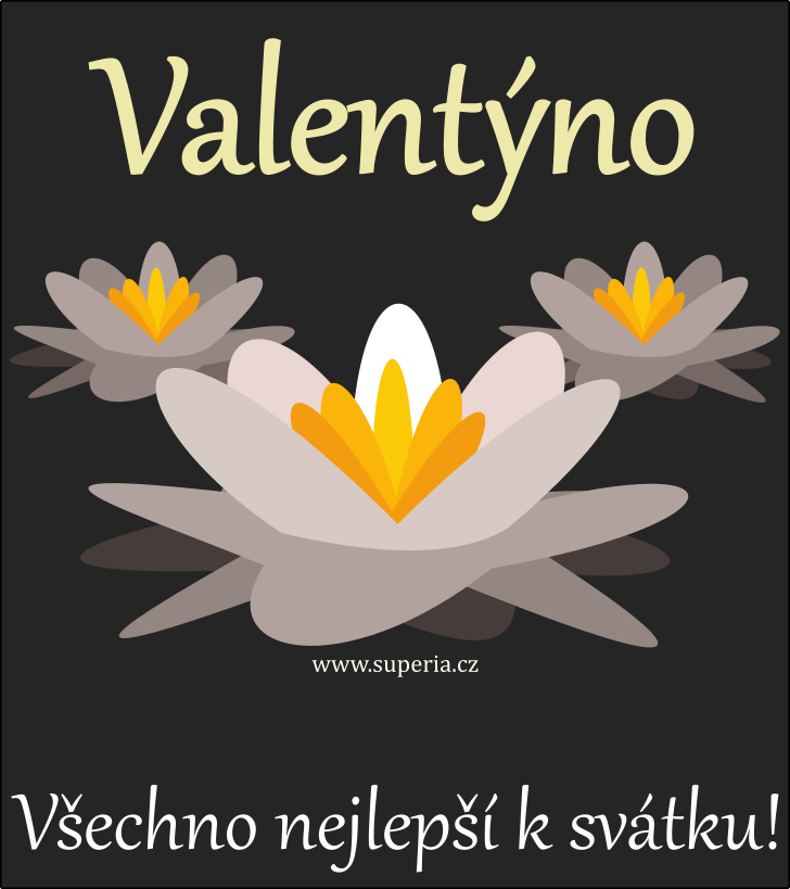 Valentna (14. nor), blahopn, blahopn, pnka k svtku, jmeninm, obrzek s textem. Value, Valinka, Vali, Vala, Val, Valda, Valentnka, Valuka