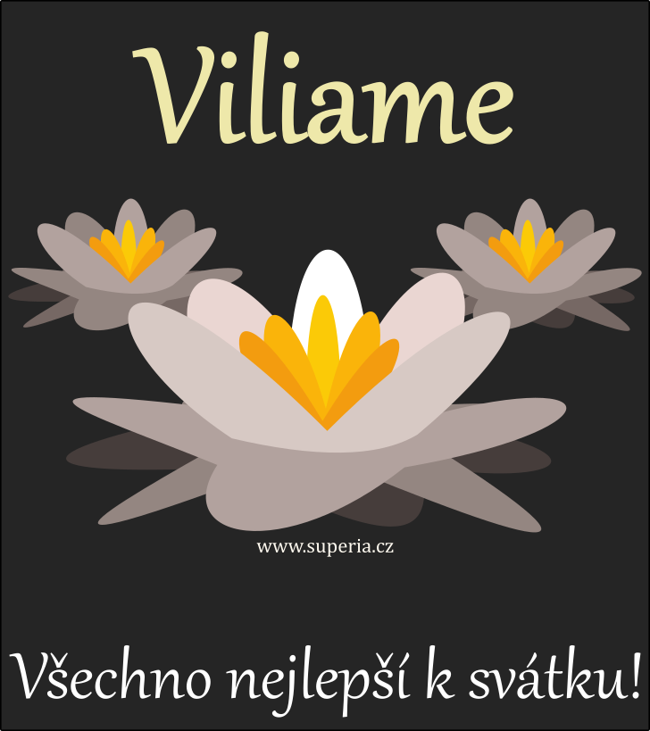 Viliam (28. kvten), blahopn, pn, gratulace k svtku, jmeninm, obrzek s textem. Viliek, Vil, Vilmek, Vili, Vilouek, Vilda, Vilk, Viliamek